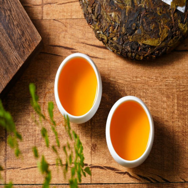 HelloYoung 357g Nannuo Mountain Deep Mountain Big Tree Ming Pre-early Spring Tea Raw Cake
