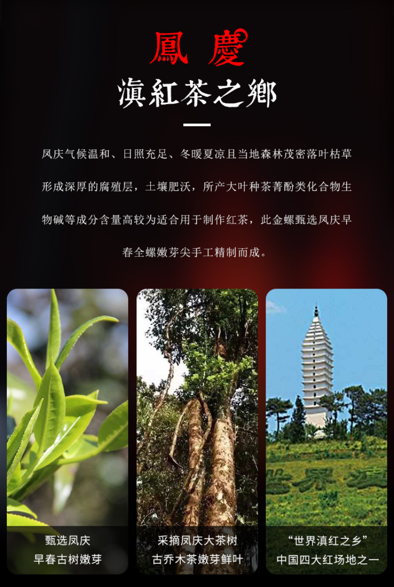 HelloYoung 500g Yunnan Ancient Black Tea Golden Silk Golden Snail Fengqing Dian Hong Tea