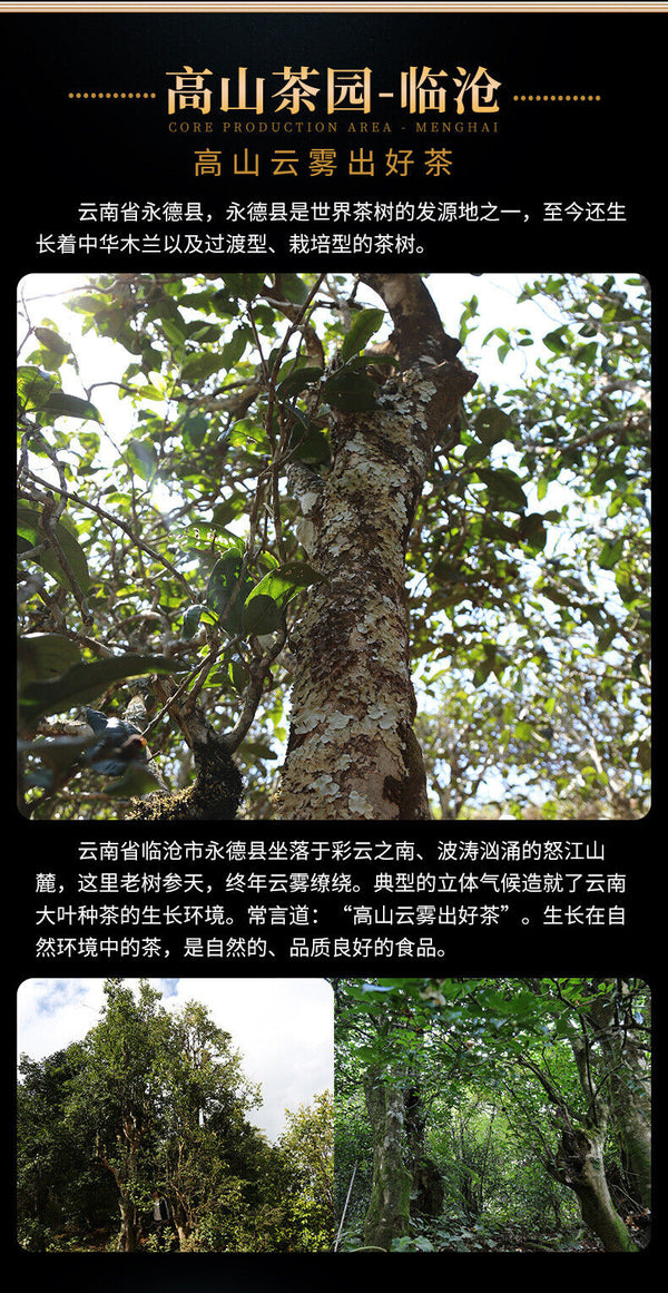 Aged Ancient Tree Pu'er Tea Raw Tea Tuo Tea Golden Melon 400g