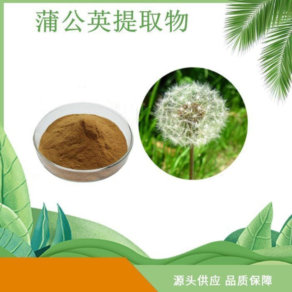 Dandelion Extract 10 1 Flavonoids Water Soluble Powder Premium Pure Main image