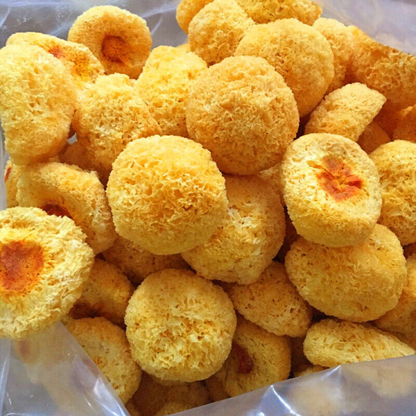 HelloYoung Snow Fungus Ball Edible Mushrooms Good for Health Great Tremella Fuciformis 100g