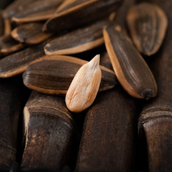 Large Melon Seeds,Caramel Pecan Flavor Sunflower Seeds Roasted Seeds Nuts Snacks