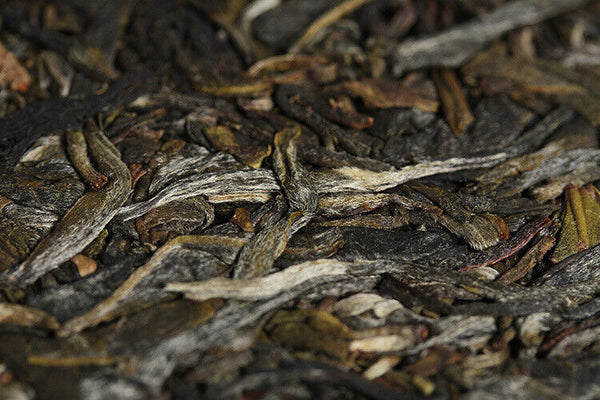 HelloYoung 357g Yunnan Pu'er Tea Xigui (White Cotton) Ming Pre-Spring Seven Seed Cake Tea
