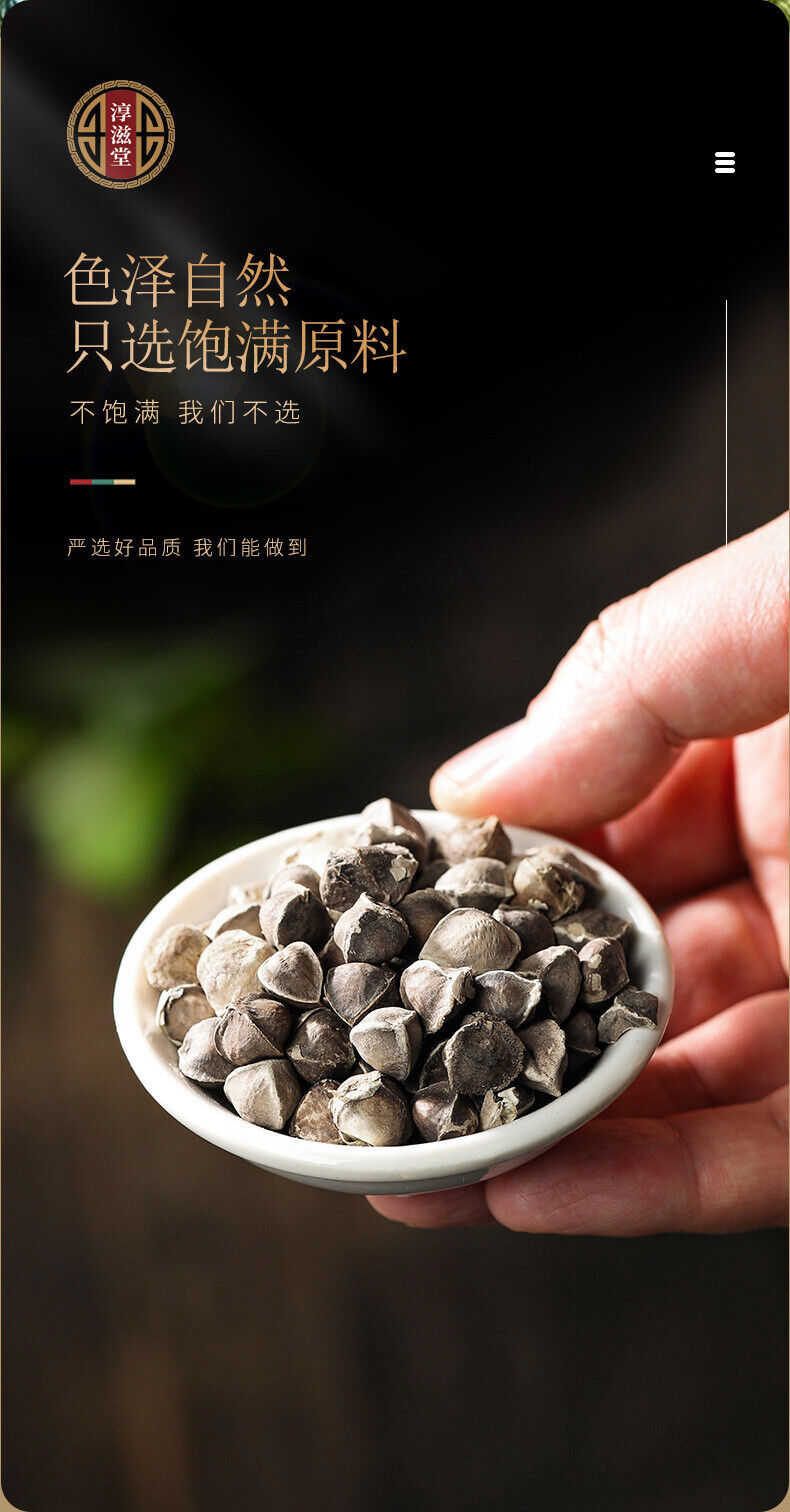 Moringa Seeds in Tins Selected, Large-grain, Edible Moringa Seeds 100g