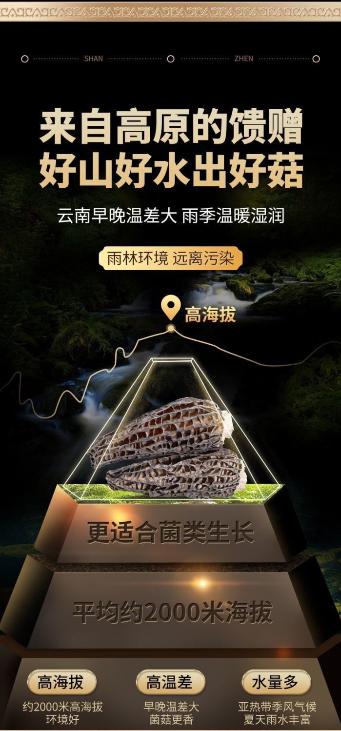 70g Yunnan Dried Morel Mushrooms – Premium Soup Ingredients, Bulk Pack