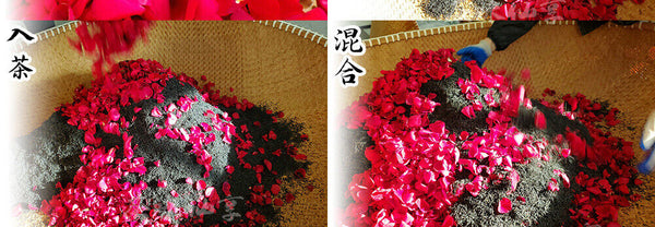 HelloYoung New Rose Tea Jiuqu Red Plum Longjing Heavy Rose Tea High Mountain Tea 10g
