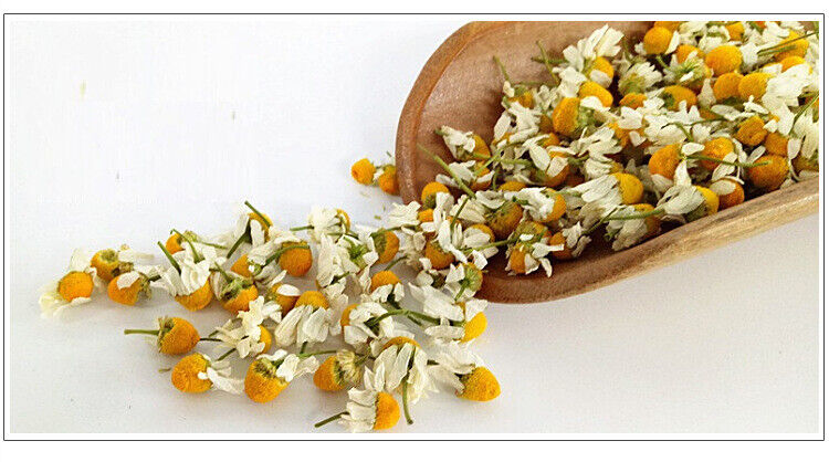 HelloYoung Bulk chamomile chamomile dried flowers chamomile petals flower foam 17.6oz