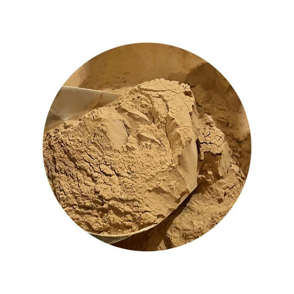 500g Pure natural high-quality Additive-Free Chia Seed Extract 10:1 Powder