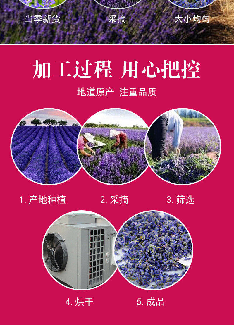 Natural Lavender New Lavender Dried Flowers Herbal Tea Bulk