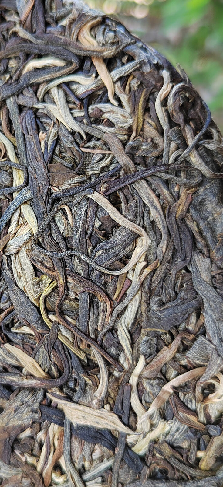 HelloYoung 357g Ming Qian Ancient Tree Spring Tea Pu'er Raw Tea Seven Seed Cake Tea