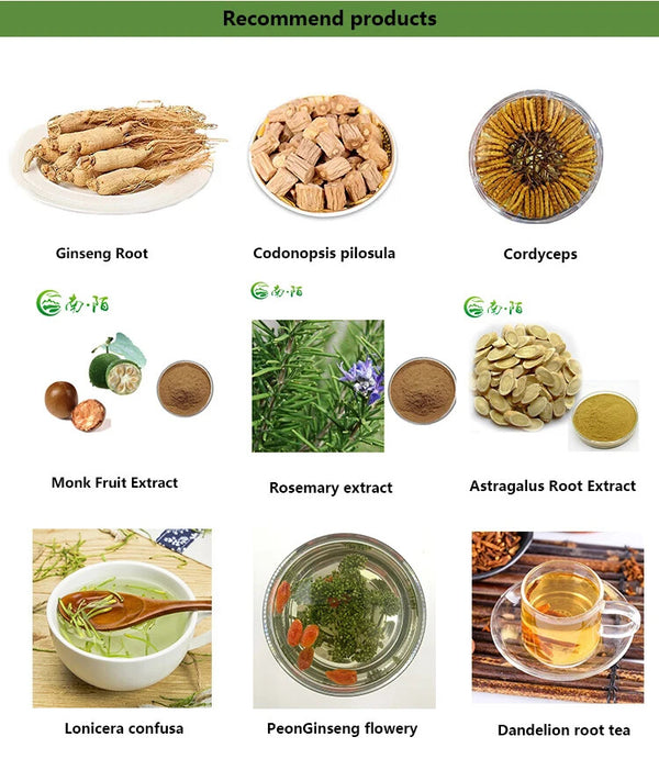 High Grade Yellow Chrysanthemum Flower Tea Xiao Huang Ju Chinese Herbal Tea