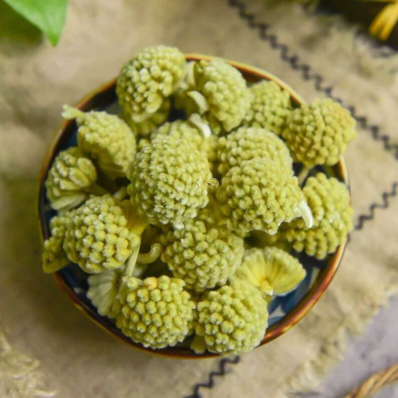 Dried Green Flower Scindapsus Aureus Edgeworthia Chrysantha Makes A Healthy Tea Main image