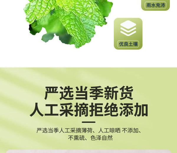 HelloYoung 50g Mint Tea Herbal Tea Fruit Tea Mint Leaf Cool Tea Peppermint Loose Leaf Tea