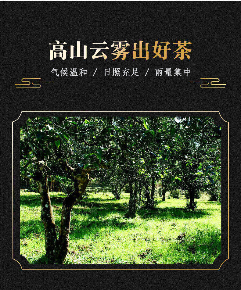 HelloYoung Puerh Tea Cake Menghai Icelandic Ancient Tree Tea 357g Pu'er Raw Tea
