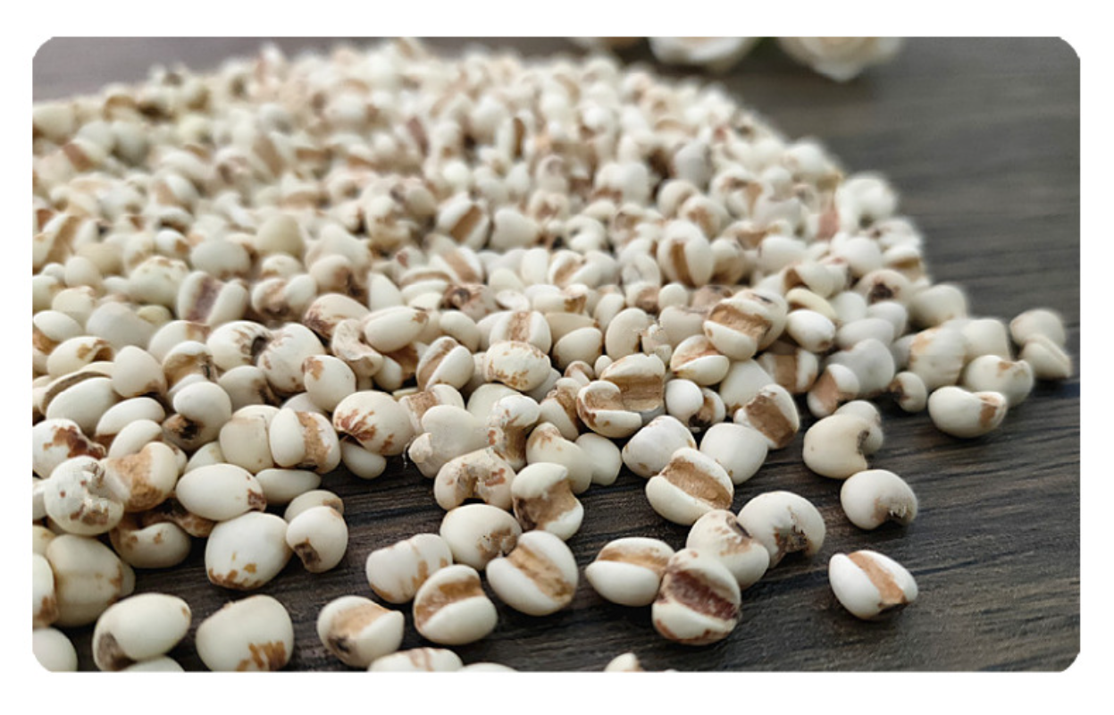 HelloYoung 500g Job's Tears Guizhou Job's Tears bulk new powdered Job's Tears flower tea
