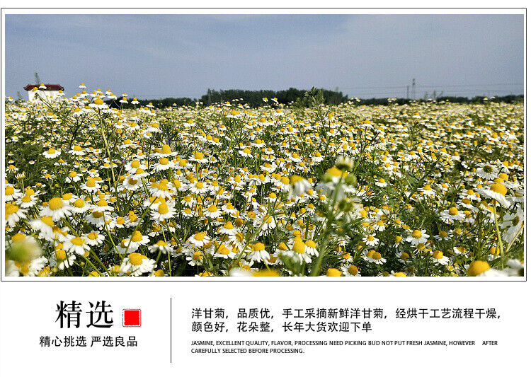 HelloYoung Chamomile new chamomile dried flowers chamomile petals froth flowers crushed