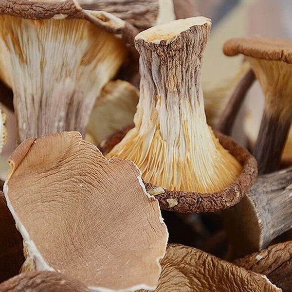 Wild Mountain Delicacy: Dried Pig Stomach Fungus & Shiitake for Soup