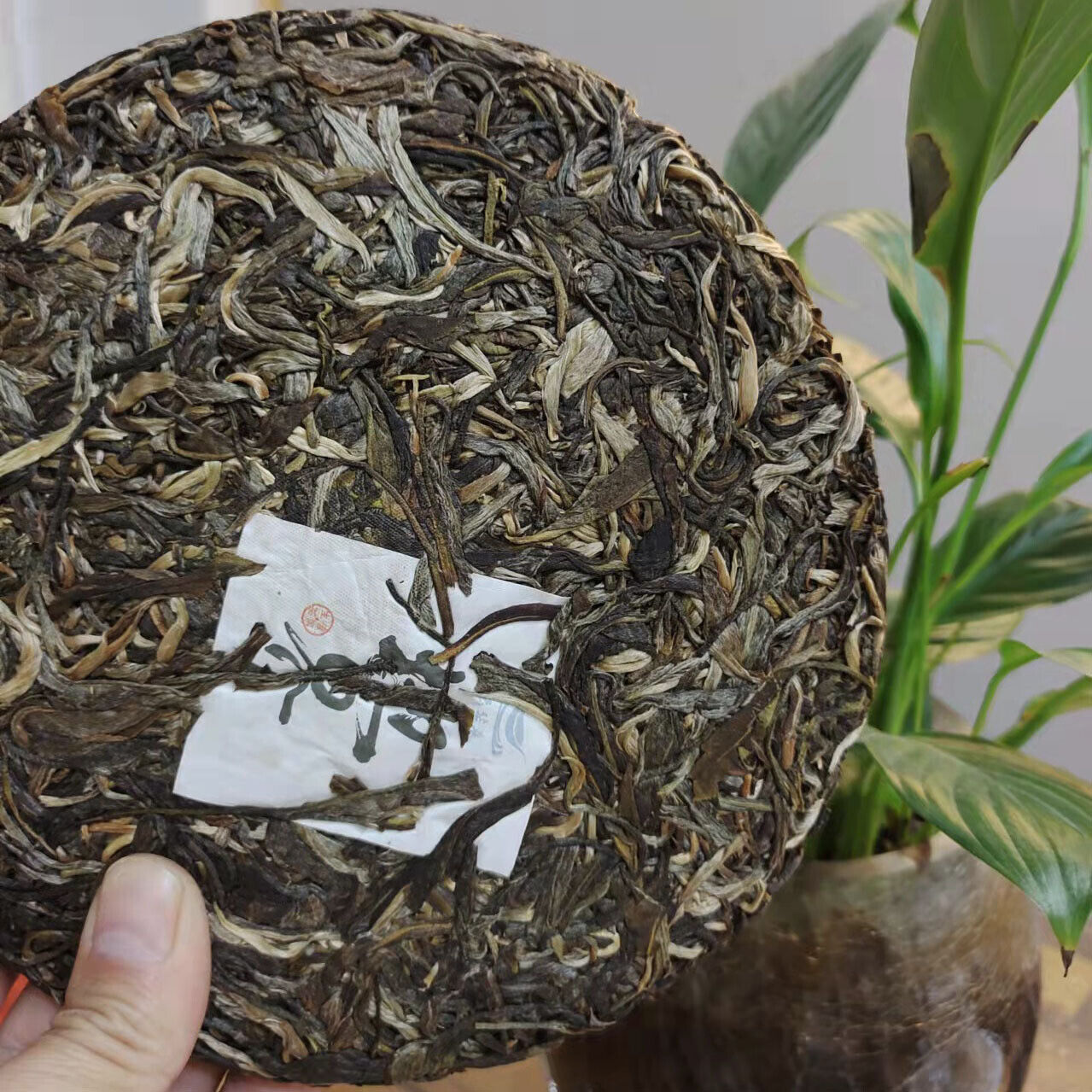 HelloYoung Yunnan Iceland Wuzhai Earth Boundary Head Spring Puerh Raw Tea Cake 357g/12.59oz Secondary image