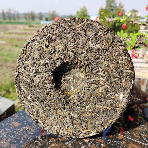 HelloYoung Green Tea Health Care Python Qing Ancient Tree Tea High Quality Pu'er Tea