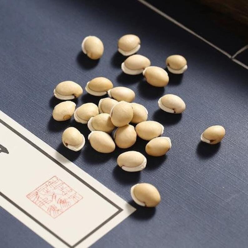 White Lablab Bean Dolichos Lablab White Hyacinth Bean  Lablab Album