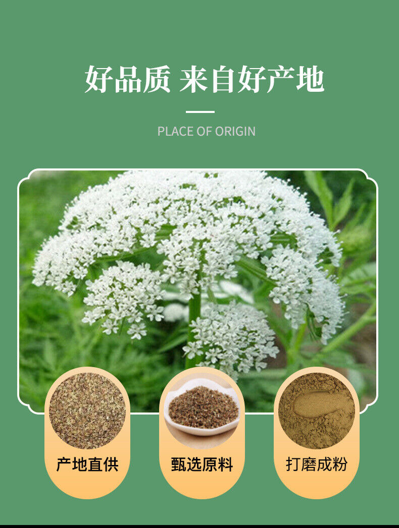 Freshly Ground Fructus Cnidii Powder Chinese Herbs Cnidium Powder She Chaung Zi