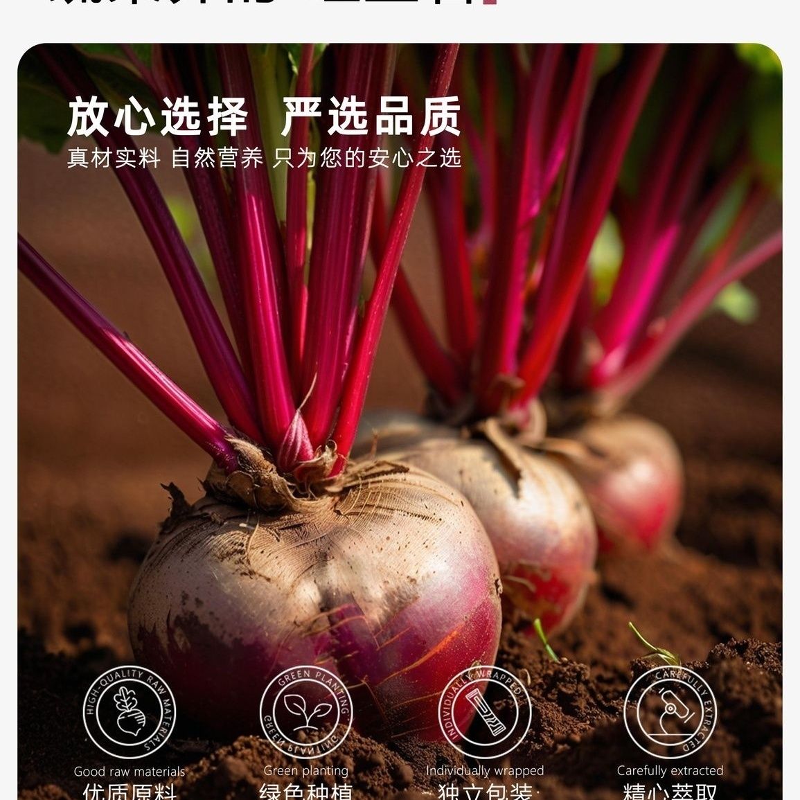 Red Beetroot Powder Iron Folic Acid Nutritional Fruit &Vegetable Powder 90g