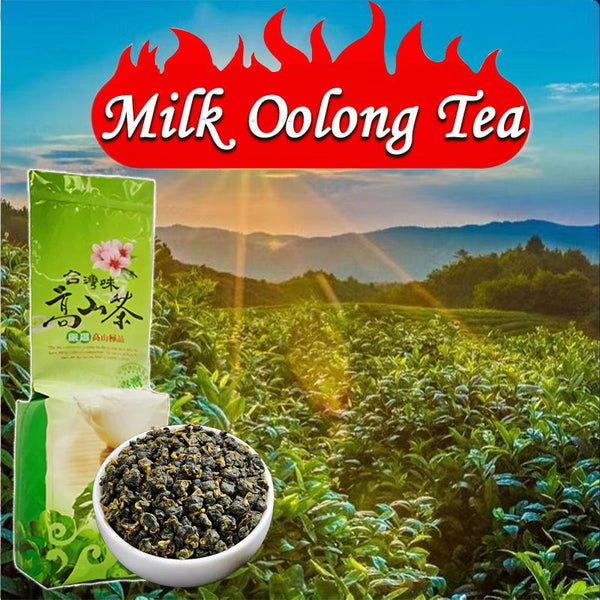 HelloYoungTea HelloYoung Organic High Mountain Fujian Taiwan Alishan Oolong Tea Tieguanyin Oolong Loose Leaf Leaves China Milk Oolong Tea Strong aroma resistant