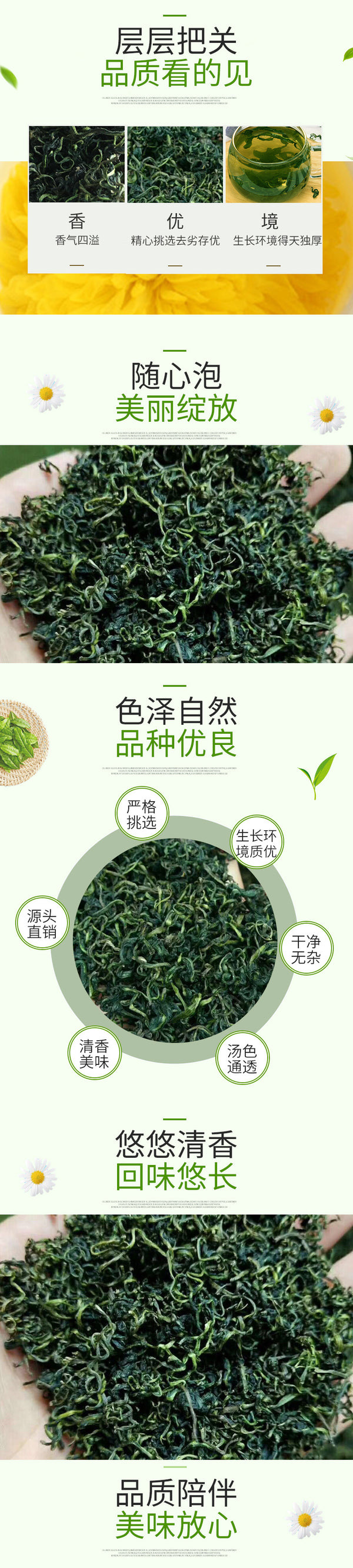 Wholesale new product - Dandelion leaves and dandelion tea. Bulk washed 500 grams, free shipping. Chinese medicinal flowers tea, brew with water. 批发新货蒲公英叶蒲公英茶 散装水洗500克包邮中药材花茶泡水