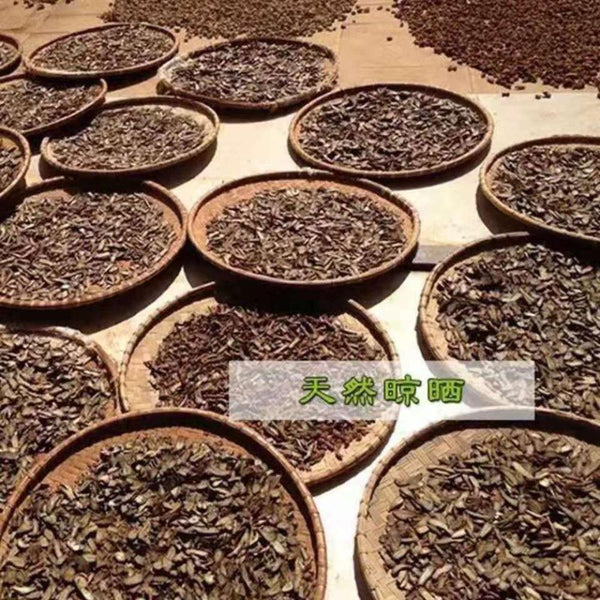 HelloYoungTea Yunnan Sanqi Notoginseng Slices Herbal Tea Dried Panax Root