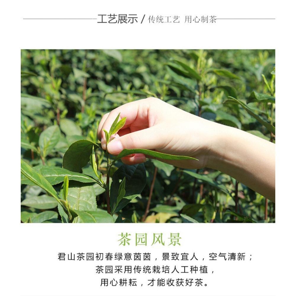HelloYoungTea 250g Junshan Wang Premium Green Tea Chinese Ming Qian Harvest