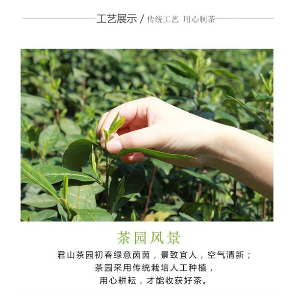 HelloYoungTea 250g Junshan Wang Premium Green Tea Chinese Ming Qian Harvest