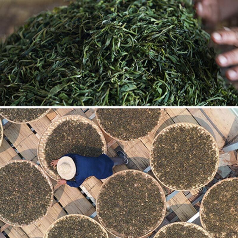 HelloYoungTea 2021 Haiwan 9978 Ripe Pu-erh Tea (Batch 211) Old Comrade Shu Puer Tea 357g