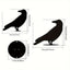 1pc Raven Garden Stake, Metal Silhouette Yard Sign With Stake For Garden Decor, Halloween Decor, Wall decor metal wall hanging. It can be a focal point during specific seasons or a permanent fixture for enthusiasts of darker aesthetics