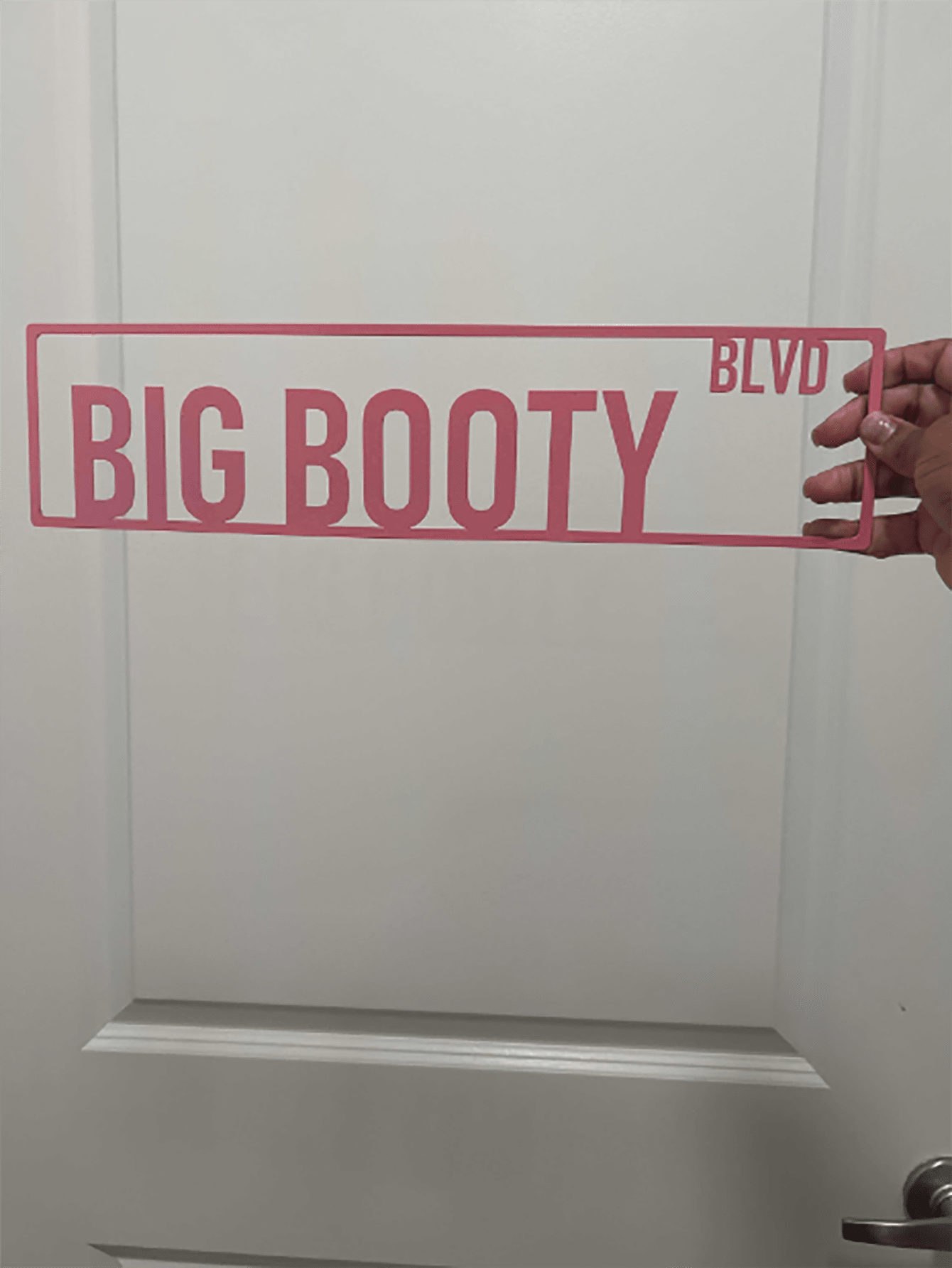 1pc Personalized Pink Aluminum Street Sign, "Big Booty" - Custom Home Decor For Door,Home Decor ,Room Decor,Wall Decor