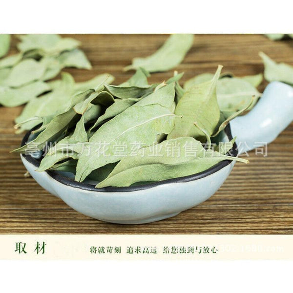 HelloYoungTea Apocynum Venetum Leaf Chinese Herbal Tea Health Tea