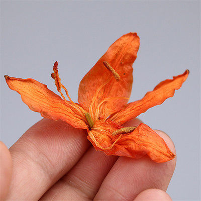 HelloYoungPremium 200g lilies Pure natural Lily scented tea cake lungs cough sedative tea Secondary image