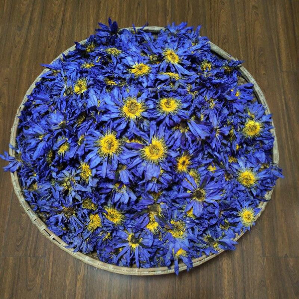 HelloYoungTea 2023 New Blue Lotus Flower Tea, Fresh Egyptian Blue Water Lilies, Dried Blue Lotus Flowers, 50g 2023年新品蓝莲花茶，埃及新鲜蓝睡莲，干蓝莲花，50克