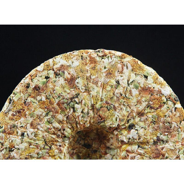 HelloYoungTea Pu-erh Tea Cake Raw Tea 357g Tea Flower Pu-erh Cake