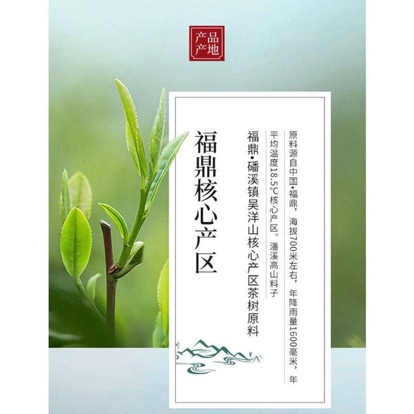 350g Fuding White Tea Panxi Gongmei Shoumei Gaoshan Sunshine Old White Tea Cake