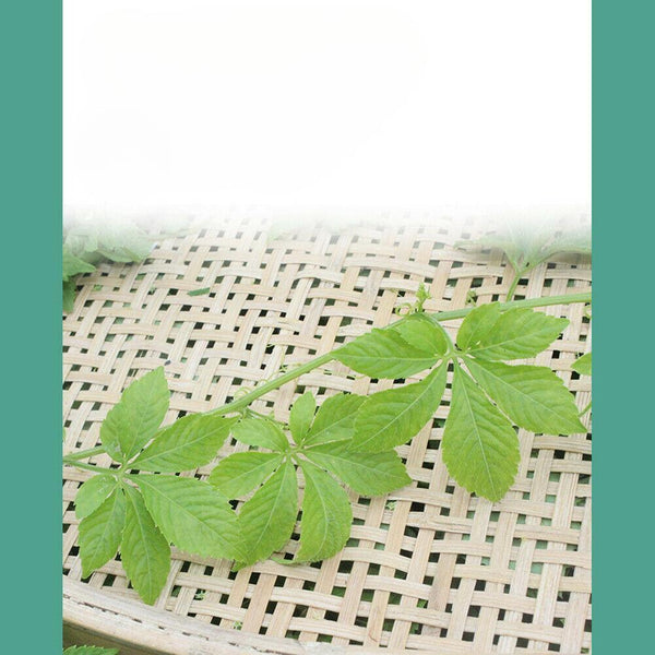 HelloYoungTea Jiaogulan Cha Gynostemma Tea Lowering Three Highs Helps Delay Aging Hetbal Tea Natural Health Herb