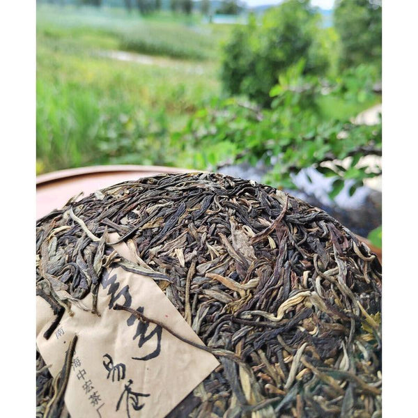 357G Yiwu Pu'er Tea Raw Tea Bent Bow Ancient Tree Tea Yunnan Tea Seven Cakes