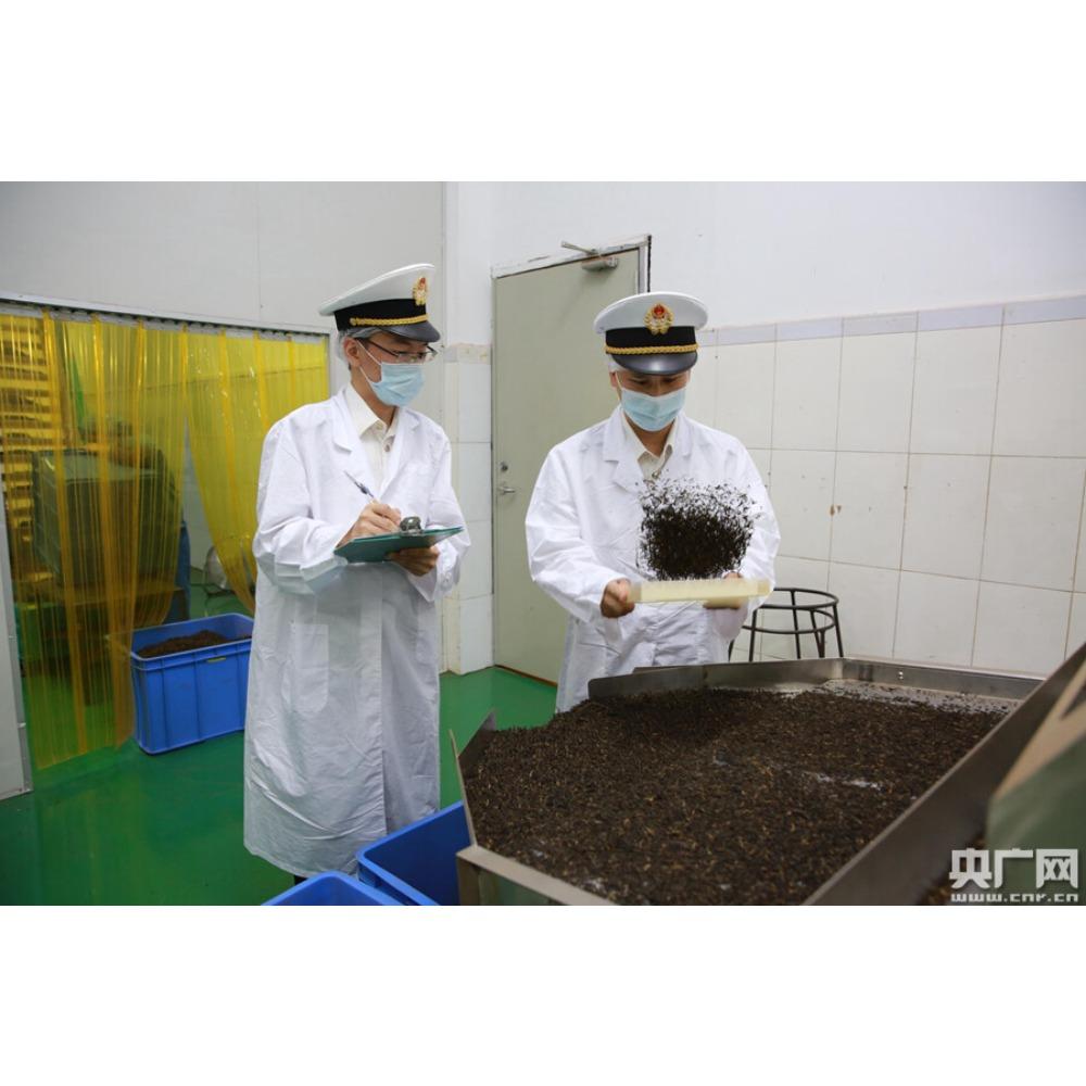 HelloYoungTea Yiwu Puer Tea 2018 Spring Wild Tea Pu Erh 180g