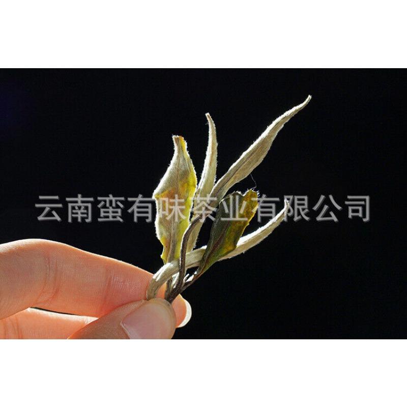 HelloYoungTea 500g Yunnan Jinggu Yangta Ancient Tree White Tea One Bud One Leaf Scattered Tea