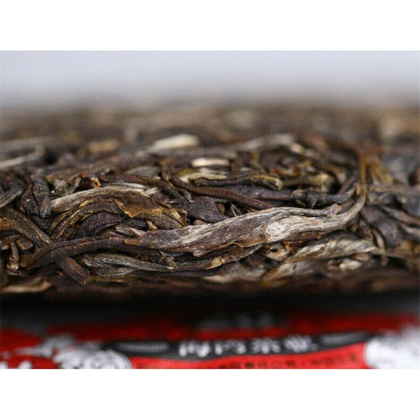 HelloYoungTea Haiwan High Mountain Ancient Tree 2019 Old Comrade Batch 191 Raw Puer Tea 500g