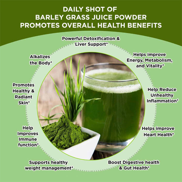 HelloYoung Barley grass official store Organic Barley Grass Powder original 250g Juice Powder Chlorophyll & Trace Minerals No Maltodextrin & Sugar