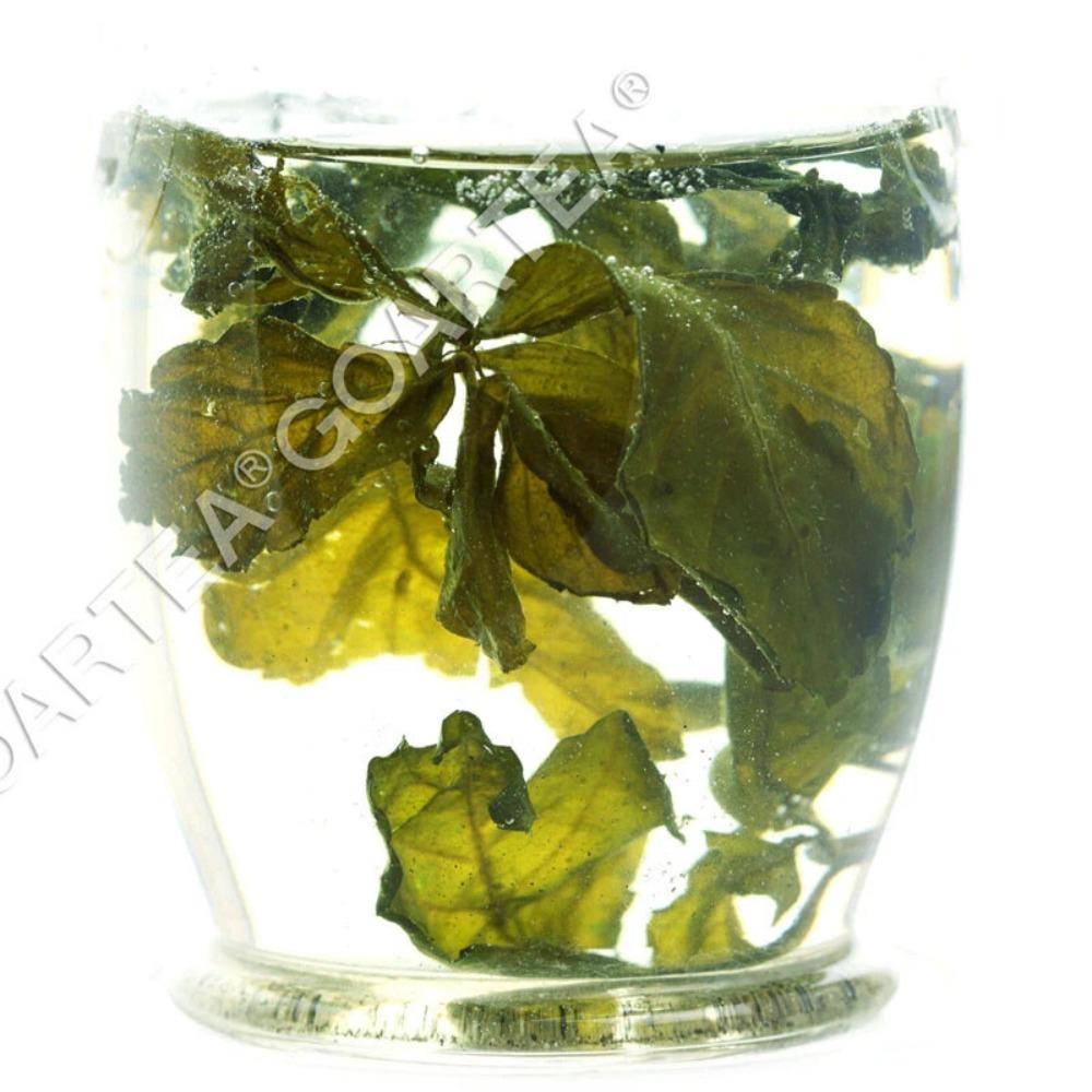 250g Premium Silver Needle White Tea Bai hao Yin zhen Chinese Tips Loose 250克优质白毫银针白茶 中国芽尖 散茶
