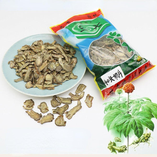 HelloYoungTea Yunnan Sanqi Notoginseng Slices Herbal Tea Dried Panax Root