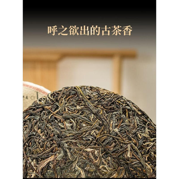 HelloYoungTea 357g Understood Pu'er Raw Tea Yunnan First Spring Ancient Tree Pu'er Cake Tea