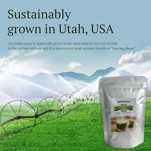 HelloYoung Barley grass official store Organic Barley Grass Powder original 250g moistening intestines, burning fat
