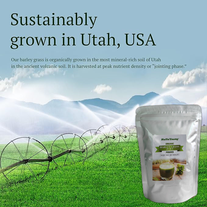 HelloYoung Barley Grass Juice 250g Powder Organic Non-GMO Vegan Cold-Juiced lowering cholesterol, beautiful skin Secondary image